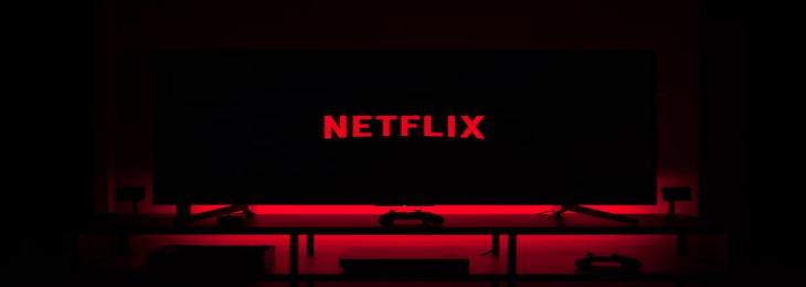 Netflix Shares Jump by 17% amid Overwhelming Subscriber Growth