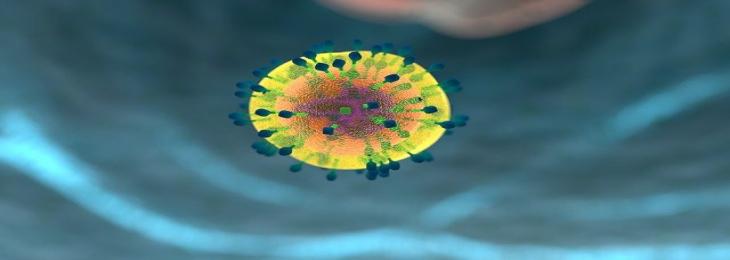 T-Cells Can Fight Against Various Viruses in the Body