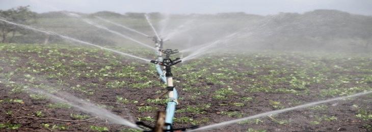 Sustainable irrigation is a major constraint on global BECCS potential