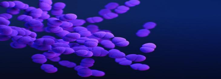Novel Molecule May Help Antibiotics to Treat Pneumonia